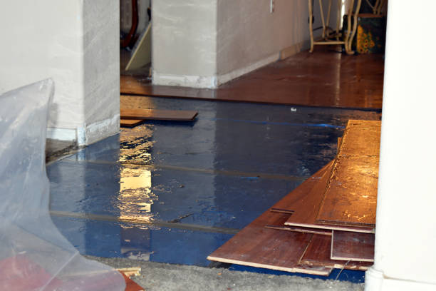 Professional Burst Pipe Cleanup technician working in Wayland, MA
